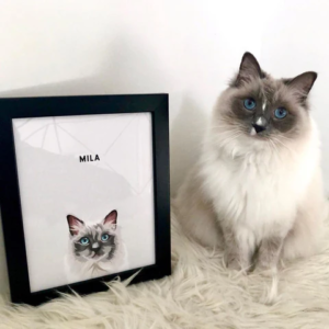 Customized-Cat-Portraits