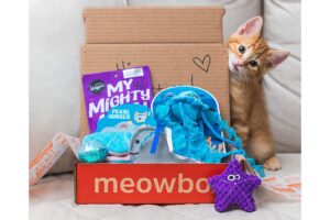 cat-lover-gifts